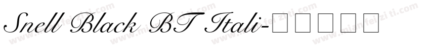 Snell Black BT Itali字体转换
